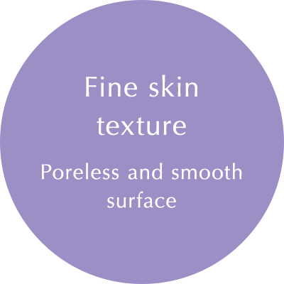 Fine skin texture: Poreless and smooth surface