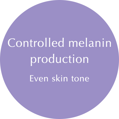 Controlled melanin production: Even skin tone