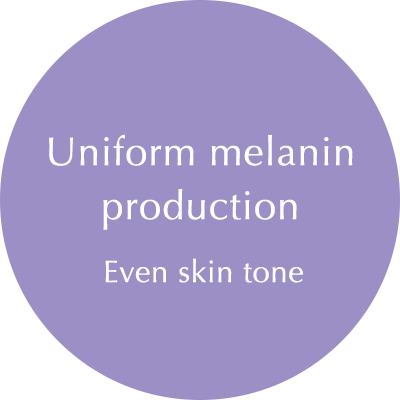 Fair and Even-Toned Complexion with Optimum Level of Melanin